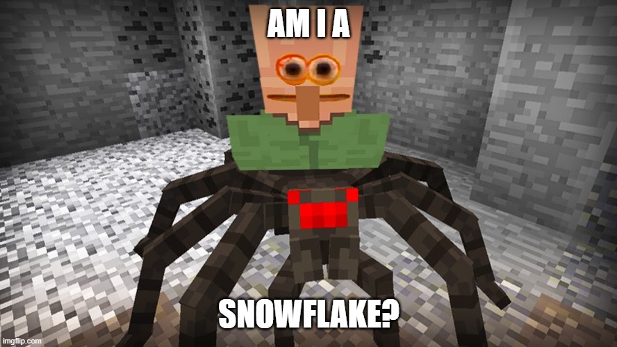 why | AM I A; SNOWFLAKE? | image tagged in why | made w/ Imgflip meme maker