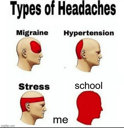 Types of Headaches meme | school; me | image tagged in types of headaches meme | made w/ Imgflip meme maker