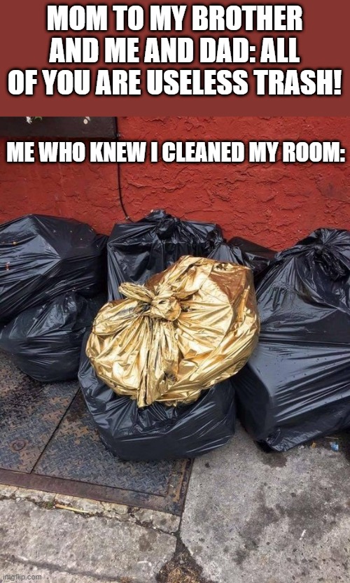 Golden Trash Bag | MOM TO MY BROTHER AND ME AND DAD: ALL OF YOU ARE USELESS TRASH! ME WHO KNEW I CLEANED MY ROOM: | image tagged in golden trash bag | made w/ Imgflip meme maker