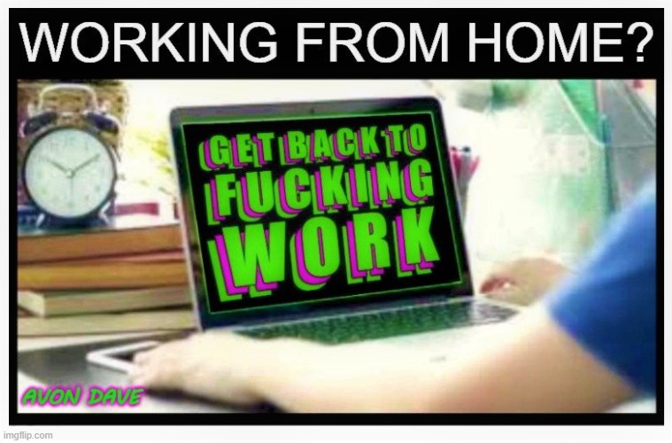 WORKING FROM HOME | image tagged in furlough,home,work,computer,lockdown,pandemic | made w/ Imgflip meme maker