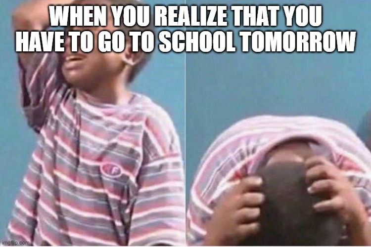 Wakey Wakey it's time for school | WHEN YOU REALIZE THAT YOU HAVE TO GO TO SCHOOL TOMORROW | image tagged in crying boy,school,why,tru,luna_the_dragon,wakey wakey it's time for school | made w/ Imgflip meme maker