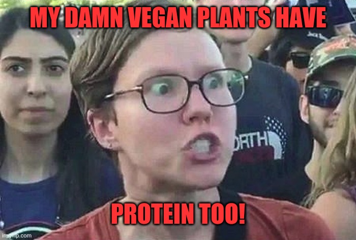 Vegan | MY DAMN VEGAN PLANTS HAVE; PROTEIN TOO! | image tagged in triggered liberal,triggered,super_triggered,triggerpaul,trigger | made w/ Imgflip meme maker