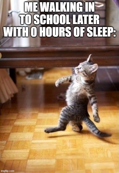 Cool Cat Stroll Meme | ME WALKING IN TO SCHOOL LATER WITH 0 HOURS OF SLEEP: | image tagged in memes,cool cat stroll | made w/ Imgflip meme maker