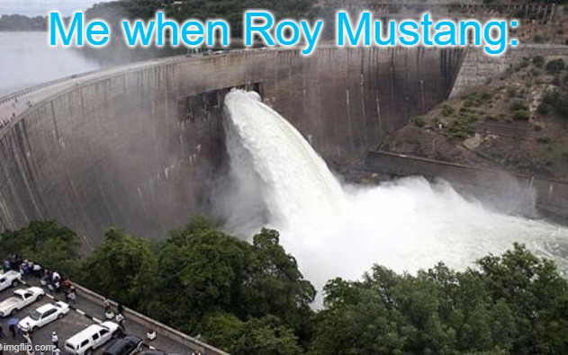 Floodgate | Me when Roy Mustang: | image tagged in floodgate | made w/ Imgflip meme maker