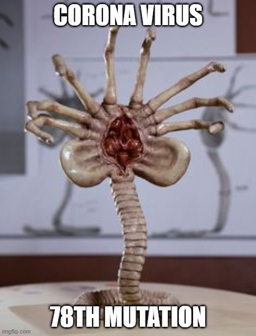 Alien facehugger | CORONA VIRUS; 78TH MUTATION | image tagged in alien facehugger | made w/ Imgflip meme maker