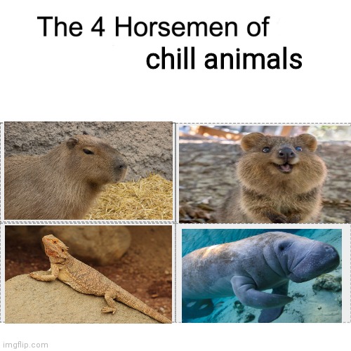 The best animals to vibe with. | chill animals | image tagged in four horsemen | made w/ Imgflip meme maker