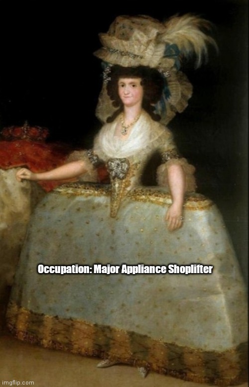 Victoria Booster | Occupation: Major Appliance Shoplifter | image tagged in funny | made w/ Imgflip meme maker