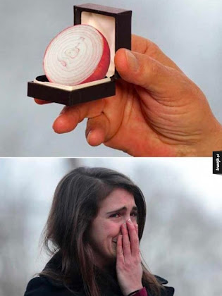 High Quality proposing with onion meme Blank Meme Template