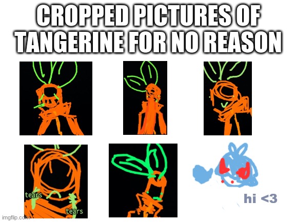 sorry to burn your eyes, dark mode users. | CROPPED PICTURES OF TANGERINE FOR NO REASON; hi <3 | image tagged in blank white template | made w/ Imgflip meme maker