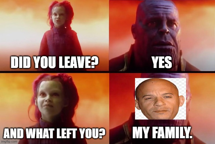 Dom Toretto |  DID YOU LEAVE? YES; AND WHAT LEFT YOU? MY FAMILY. | image tagged in thanos what did it cost | made w/ Imgflip meme maker