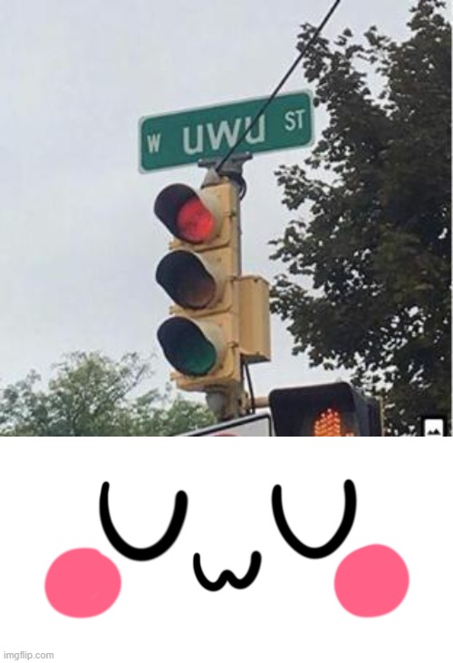 UwU | image tagged in uwu,memes,street,street signs,cat,kawaii | made w/ Imgflip meme maker
