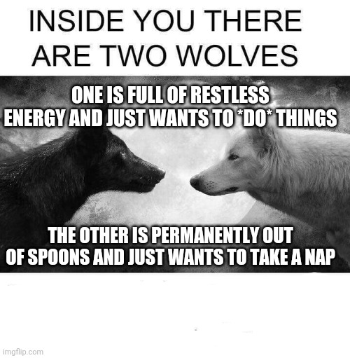 Depression | ONE IS FULL OF RESTLESS ENERGY AND JUST WANTS TO *DO* THINGS; THE OTHER IS PERMANENTLY OUT OF SPOONS AND JUST WANTS TO TAKE A NAP | image tagged in inside you there are two wolves | made w/ Imgflip meme maker