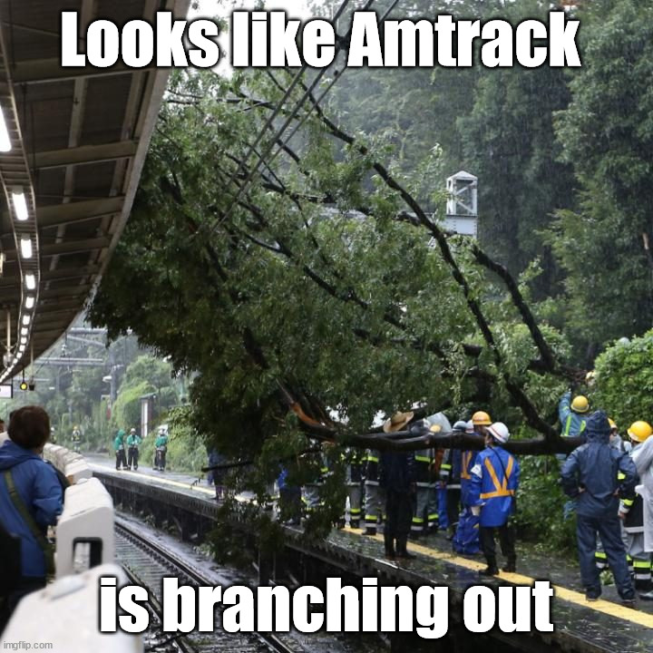 Looks like Amtrack; is branching out | image tagged in eye roll | made w/ Imgflip meme maker