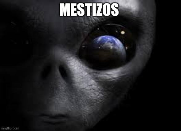 Mestizos | MESTIZOS | image tagged in nazi | made w/ Imgflip meme maker