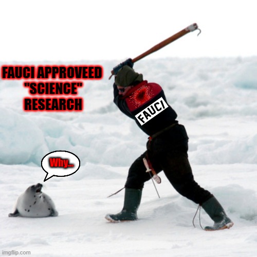 FAUCI APPROVEED

 "SCIENCE"
 RESEARCH; Why... | made w/ Imgflip meme maker