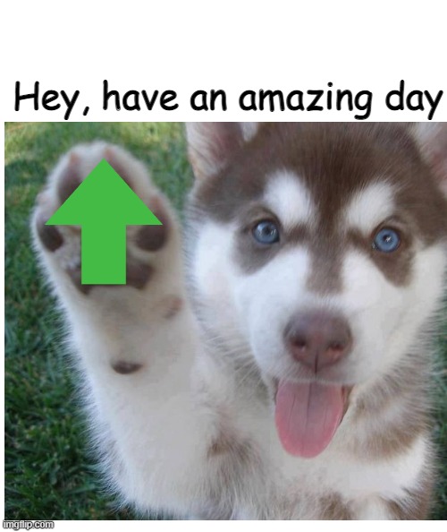 Have a good day, have a REALLY good day. I love you, u awesome | Hey, have an amazing day | image tagged in upvote,cute dog,dog,awesome,have a good day | made w/ Imgflip meme maker