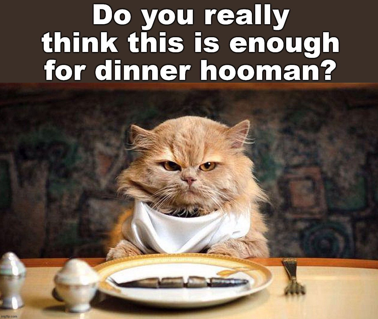 Do you really think this is enough for dinner hooman? | image tagged in cats | made w/ Imgflip meme maker