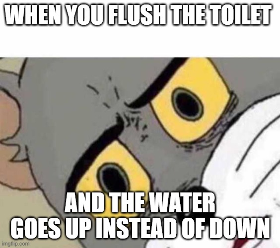 Toilet | WHEN YOU FLUSH THE TOILET; AND THE WATER GOES UP INSTEAD OF DOWN | image tagged in tom cat unsettled close up | made w/ Imgflip meme maker