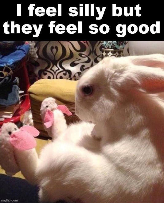 I feel silly but 
they feel so good | image tagged in bunnies | made w/ Imgflip meme maker