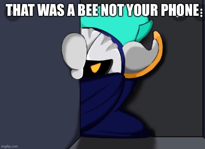 Meta Knight is not pleased | THAT WAS A BEE NOT YOUR PHONE | image tagged in meta knight is not pleased | made w/ Imgflip meme maker