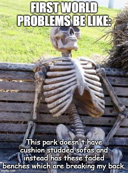 First world problems bruhh | FIRST WORLD PROBLEMS BE LIKE:; This park doesn't have cushion studded sofas and instead has these faded benches which are breaking my back. | image tagged in memes,waiting skeleton | made w/ Imgflip meme maker