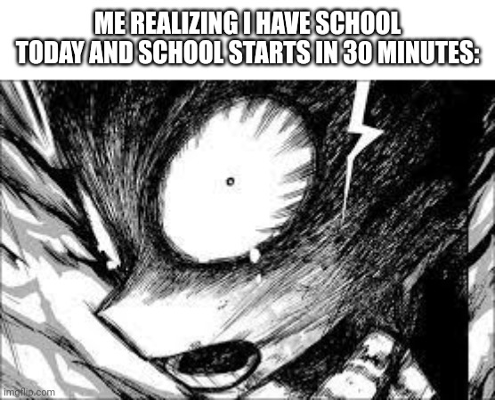 True story...I didn't get to eat breakfast this morning | ME REALIZING I HAVE SCHOOL TODAY AND SCHOOL STARTS IN 30 MINUTES: | image tagged in deku realization | made w/ Imgflip meme maker