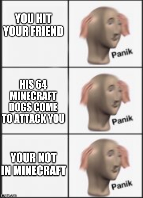 super panik | YOU HIT YOUR FRIEND; HIS 64 MINECRAFT DOGS COME TO ATTACK YOU; YOUR NOT IN MINECRAFT | image tagged in panic,super panik | made w/ Imgflip meme maker