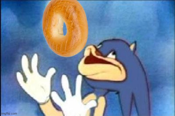 The Bagel | image tagged in sonic derp | made w/ Imgflip meme maker