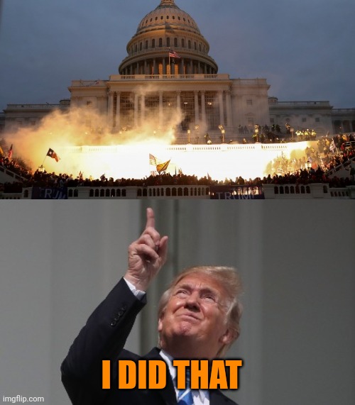 I DID THAT | image tagged in capitol riot assault attack on democracy,trump pointing up | made w/ Imgflip meme maker