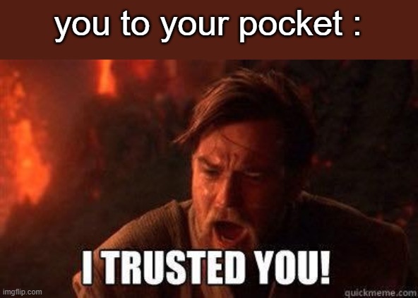 I trusted you | you to your pocket : | image tagged in i trusted you | made w/ Imgflip meme maker