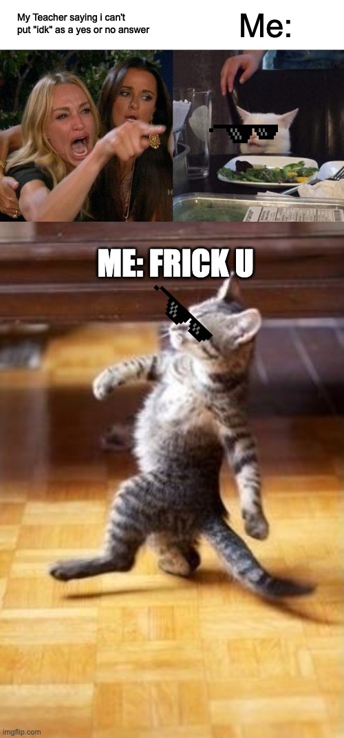 My Teacher saying i can't put "idk" as a yes or no answer; Me:; ME: FRICK U | image tagged in memes,woman yelling at cat,cool cat stroll | made w/ Imgflip meme maker