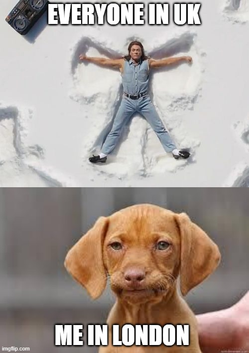 EVERYONE IN UK; ME IN LONDON | image tagged in jcvd snow angel,disappointed dog | made w/ Imgflip meme maker