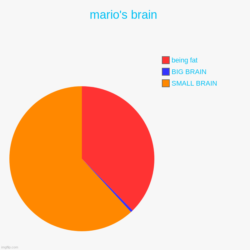 mario's brain | SMALL BRAIN, BIG BRAIN, being fat | image tagged in charts,pie charts | made w/ Imgflip chart maker