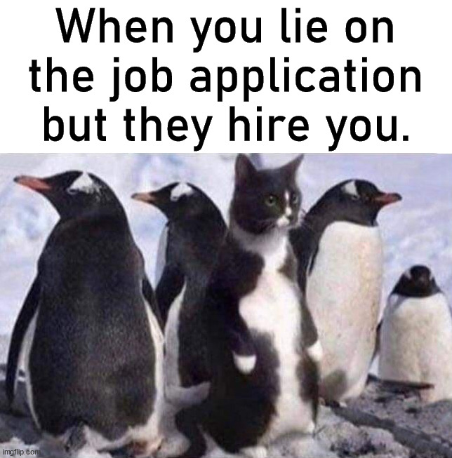 When you start and you really don't know what you are doing. | When you lie on the job application but they hire you. | image tagged in jobs,learning,lies,job interview | made w/ Imgflip meme maker