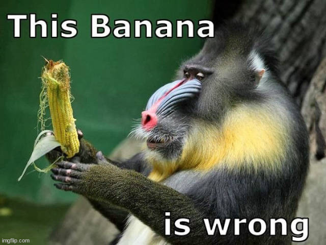 image tagged in banana,monkeys | made w/ Imgflip meme maker