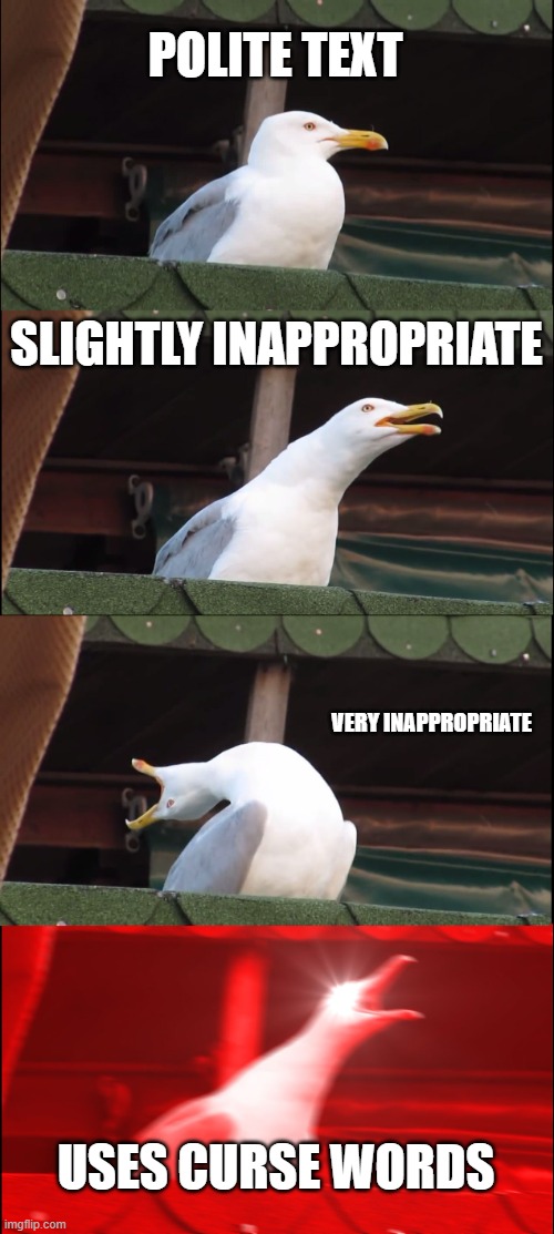 Netiquette meme | POLITE TEXT; SLIGHTLY INAPPROPRIATE; VERY INAPPROPRIATE; USES CURSE WORDS | image tagged in memes,inhaling seagull | made w/ Imgflip meme maker