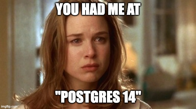 Jerry Maguire you had me at hello | YOU HAD ME AT; "POSTGRES 14" | image tagged in jerry maguire you had me at hello | made w/ Imgflip meme maker