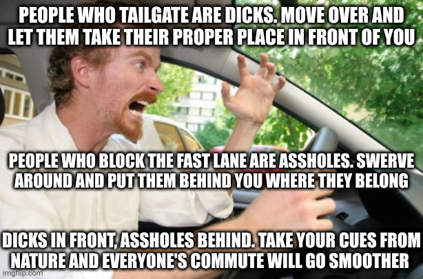 Only an asshole likes a dick in its rear, and only an impotent dick gets so close to an asshole without plowing through it | PEOPLE WHO TAILGATE ARE DICKS. MOVE OVER AND
LET THEM TAKE THEIR PROPER PLACE IN FRONT OF YOU; PEOPLE WHO BLOCK THE FAST LANE ARE ASSHOLES. SWERVE
AROUND AND PUT THEM BEHIND YOU WHERE THEY BELONG; DICKS IN FRONT, ASSHOLES BEHIND. TAKE YOUR CUES FROM
NATURE AND EVERYONE'S COMMUTE WILL GO SMOOTHER | image tagged in road rage | made w/ Imgflip meme maker