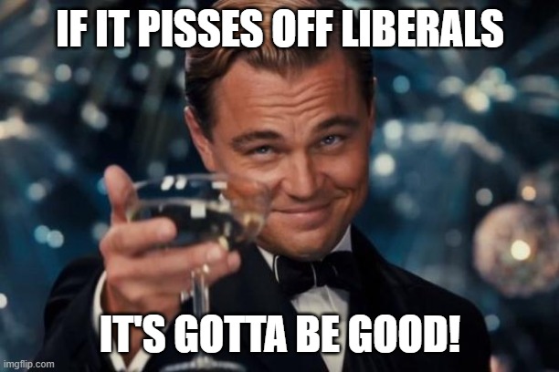 Leonardo Dicaprio Cheers Meme | IF IT PISSES OFF LIBERALS IT'S GOTTA BE GOOD! | image tagged in memes,leonardo dicaprio cheers | made w/ Imgflip meme maker