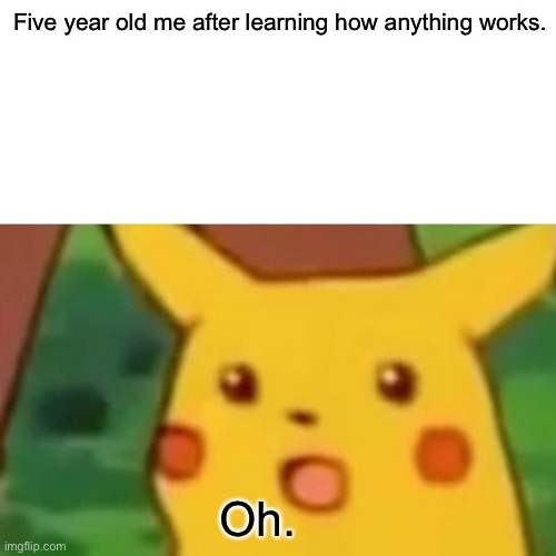 Surprised Pikachu | Five year old me after learning how anything works. Oh. | image tagged in memes,surprised pikachu | made w/ Imgflip meme maker