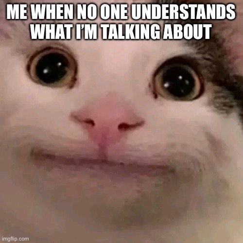 Beluga | ME WHEN NO ONE UNDERSTANDS WHAT I’M TALKING ABOUT | image tagged in beluga | made w/ Imgflip meme maker