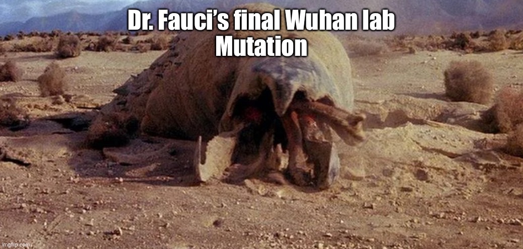 Graboid | Dr. Fauci’s final Wuhan lab
Mutation | image tagged in graboid pog | made w/ Imgflip meme maker