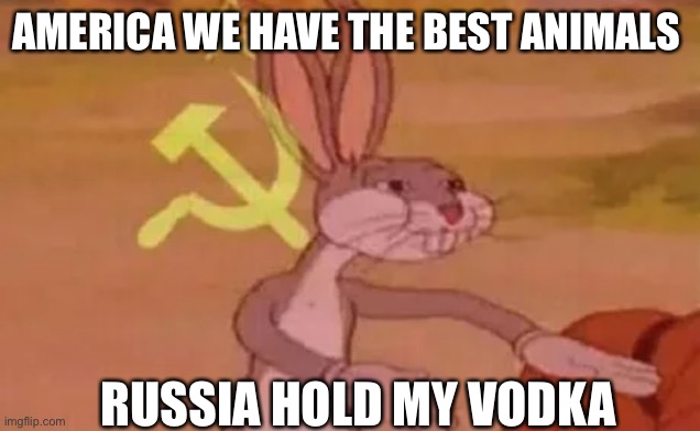 Bugs bunny communist | AMERICA WE HAVE THE BEST ANIMALS; RUSSIA HOLD MY VODKA | image tagged in bugs bunny communist | made w/ Imgflip meme maker