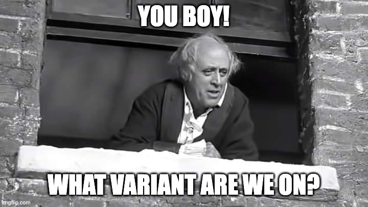 You BOY! | YOU BOY! WHAT VARIANT ARE WE ON? | image tagged in covid-19,covid,scrooge | made w/ Imgflip meme maker