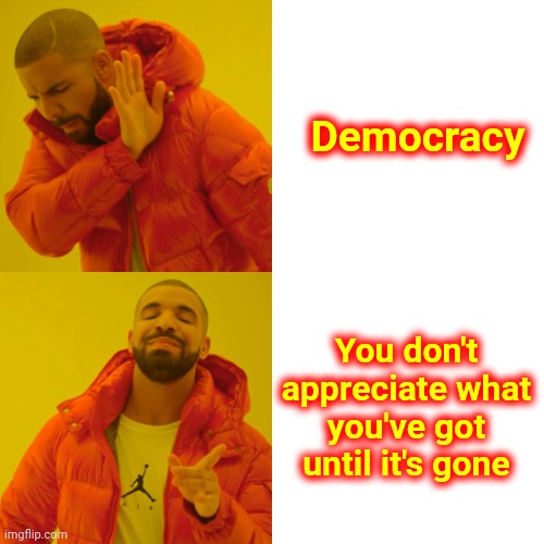The United States Is Listed As A "Backsliding Democracy" Since 2019 | Democracy; You don't appreciate what you've got until it's gone | image tagged in memes,drake hotline bling,trumpublican terrorists,fox tabloid tv,we're all doomed,doomed | made w/ Imgflip meme maker