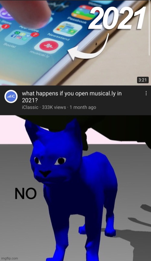 NO | image tagged in weird blue cat | made w/ Imgflip meme maker