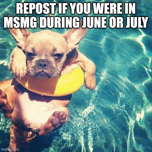 And that means active | REPOST IF YOU WERE IN MSMG DURING JUNE OR JULY | image tagged in summer is here dog pug | made w/ Imgflip meme maker