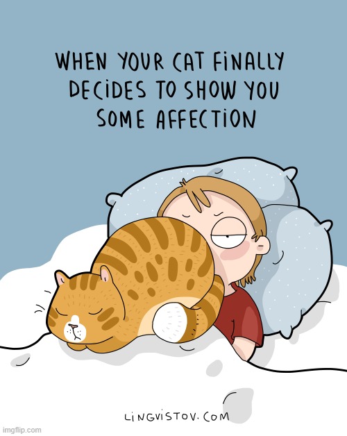 A Cat's Way Of Thinking | image tagged in memes,comics,cats,i love you,butt,in your face | made w/ Imgflip meme maker