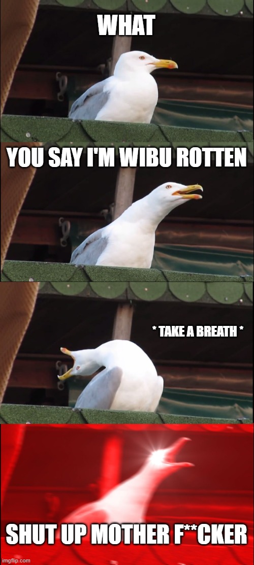 Inhaling Seagull | WHAT; YOU SAY I'M WIBU ROTTEN; * TAKE A BREATH *; SHUT UP MOTHER F**CKER | image tagged in memes,inhaling seagull | made w/ Imgflip meme maker