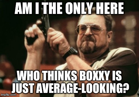 Am I The Only One Around Here Meme | AM I THE ONLY HERE WHO THINKS BOXXY IS JUST AVERAGE-LOOKING? | image tagged in memes,am i the only one around here | made w/ Imgflip meme maker